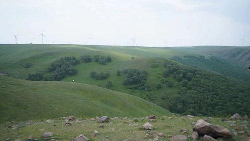 山西朔州草甸新闻头条,绿色奇迹，生态振兴新篇章